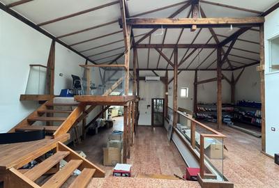 Vila istorica de vanzare in zona *Unirii* | 21 camere | curte, garaj - 46