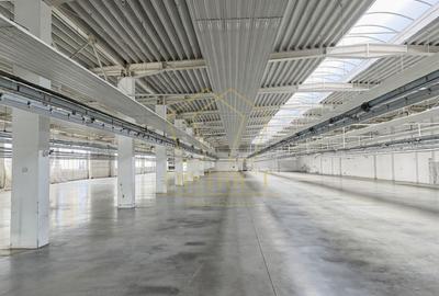 Spațiu industrial, în Șagului