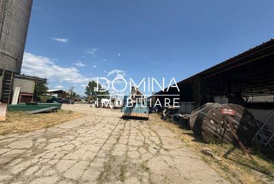 Vanzare proprietate industriala - Targu Jiu - *teren + hala + birouri* - 10