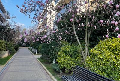 GRADINA ZOOLOGICA / PADUREA BANEASA / PENTHOUSE UNICAT / PARCARE 2 LOCURI - 4