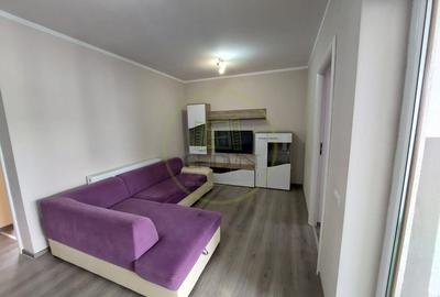 Apartament 2 camere, 50 mp, terasa spre  închiriere Cartier Arhitecților - 10