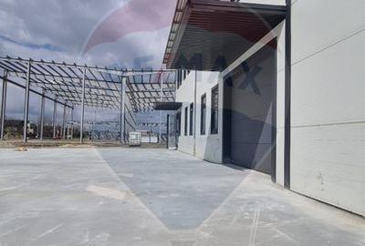 Spatiu industrial premium Balotesti Aeroport Otopeni - 6