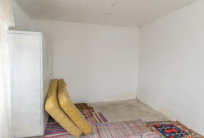 Casă din chirpici, bucătărie de vară și 1.34 ha de teren, Ardeoani - 16
