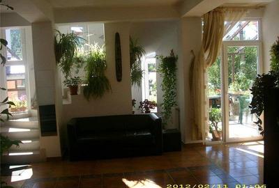 Vila de vanzare in Busteni Prahova zona Centrala - Valea Alba - 3