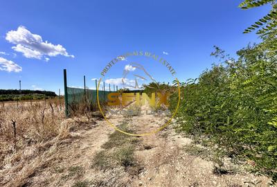 Corbeanca 2000 mp | deschidere 22 m la drum asfaltat | padure | utilitati - 4