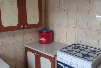 Palazu Mare Casa la sol teren 900 mp - 1