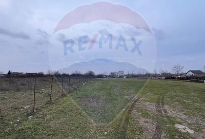 Investiție Sector 5: 2.819 mp | P+2 | Drumul Movila | Sub 100€/mp - 8