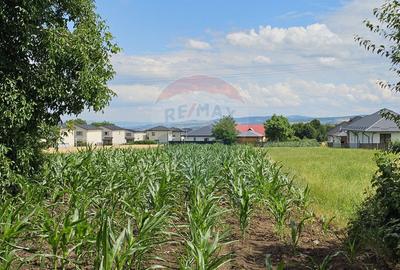 Casă / Vilă, teren 1700mp,  în Lisaura-Ipotești, Suceava - 35