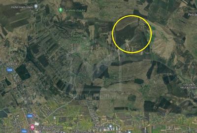 Teren in Fanatele Clujului Valea lui Craiu, 8.1 ha, extravilan - 2