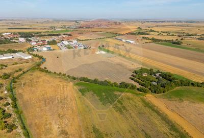 Teren 20.000 mp Arad. Ideal pentru mica industrie, servicii, transport - 12