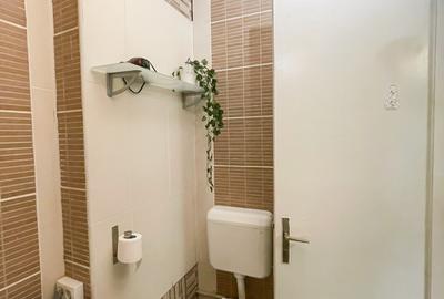 Apartament 2 camere in zona Universitatii / Centru Vechi - 19