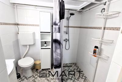 Apartament 2 camere la demisolul unei case,  zona Sub Arini - 8