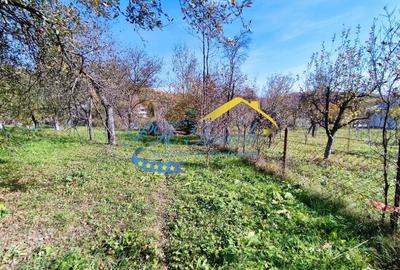 Teren intravilan de vanzare, Provita de Jos - 8