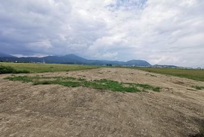 Teren pentru hale si depozite Timisul sec- Uzina 2 front la ocolitoare - 7