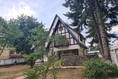 Vila de pe cărțile poștale - 9