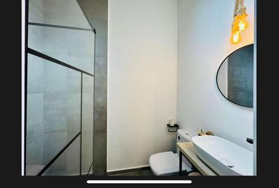 Apartament superb Take Ionescu - 15