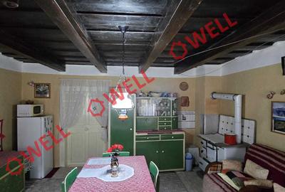Casă familială de tip conac de vânzare în Aita Mare - 7