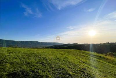 Teren de 9.500 mp in Maramures | Varf de deal, priveliste de pus in rama | Retre - 10