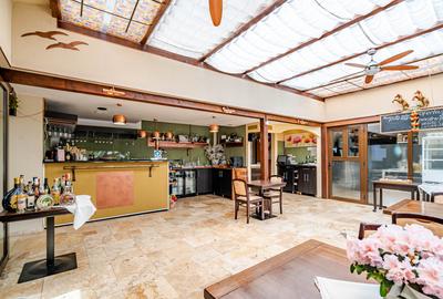 PROPRIETATE MULTIFUNCȚIONALĂ (POTRIVITĂ PENSIUNE / COMPLEX REZIDENȚIAL) - 7