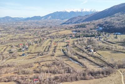 Teren intravilan Bran - Predelut - 37