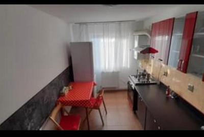 Apartament cu 2 camere,tip Penthouse, DECOMANDAT, zona Nicolina - 10