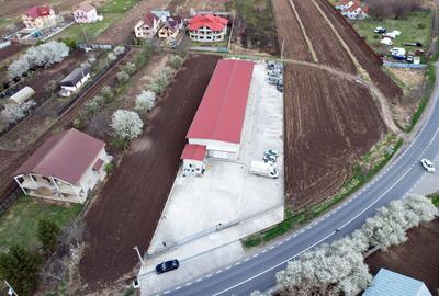 De inchiriat hala 700 mp + 2.565 mp teren Magura - Bacau - 2