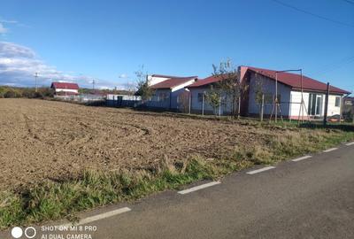 Snagov Ghermănești 4000 Mp Teren de vânzare L3 S+P+1E+M LIDL Ieșirea Spre A3 - 3
