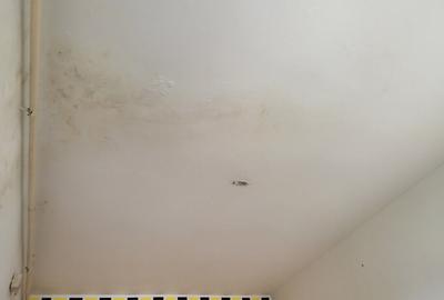 Apartament 4 camere 62,27 mp Corabia, jud.Olt - 17