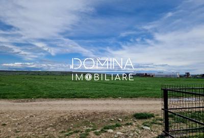 Vânzare teren extravilan 25.254 mp, situat în localitatea componentă Preajba - 3