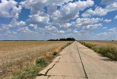 Vand terenuri in zona Frumusani / Buciumeni / Budesti jud. Calarasi - 1