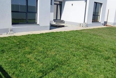 Vila 4  camere Parter Hera - 3