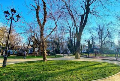 Inchiriere Apartament unicat 3 camere| DACIA & ICOANE EXPAT-FRIENDLY - 23