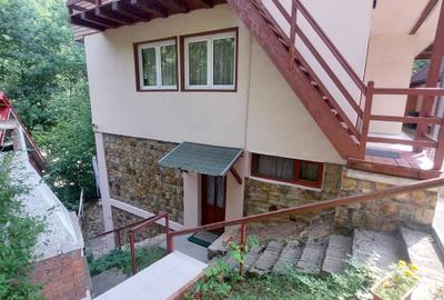 Pensiune turistică de vânzare în Lepșa – o oportunitate unică de afacere - 4