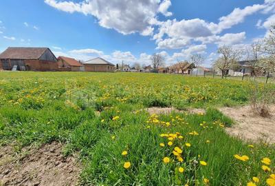 Teren de 1451 mp cu utilitati -  Haghig, jud. Covasna - 3