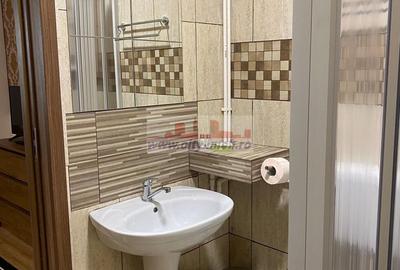 Vanzare Pensiune , Casa ,  Rezervatia Piatra Craiului / Satic, Arges - 15