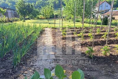 Teren intravilan | De vanzare | 600 mp | 13.6 ml deschidere | Ciugud - 3