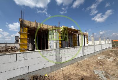 Casa plan parter, 406 mp teren, 105 mp utili, Magnolia - 2