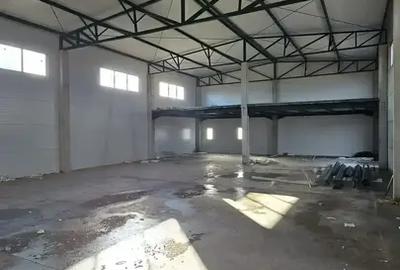 Hale Noi De Inchiriat | Chitila | Iesire direct In Centura - 5