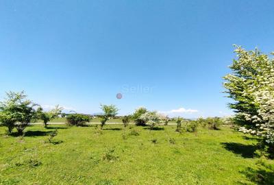 Teren Intravilan - 4