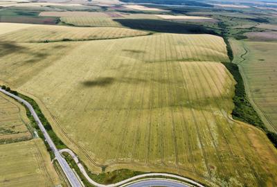 Teren la sosea Ortisoara - Autostrada A1 - 19