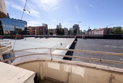 Apartament De Inchiriat 3 Camere Etaj 1 Zizinului - 14