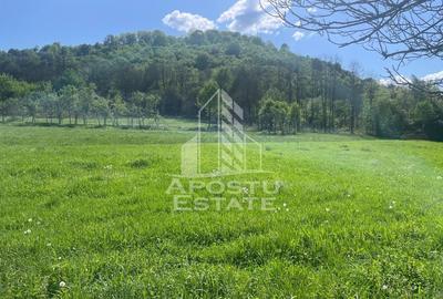 Teren intravilan, partial imprejmuit - Pojoga, com. Zam - 2