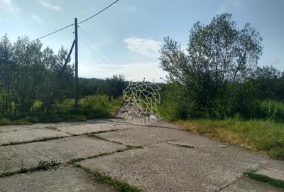 Teren 1500 mp - pretabil cabana/investitie - Zona Valea Rusului - 3