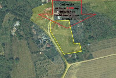 Teren Construcții intravilan de 5410 mp, în Calapodești