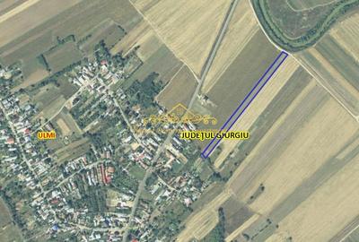 Casa demolabila + teren, 7470 mp Trestieni Ulmi - 4