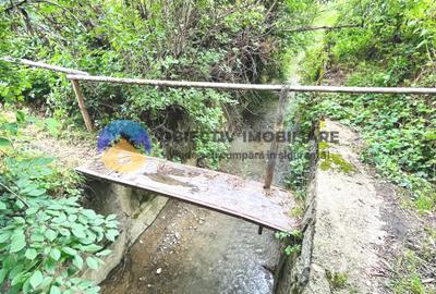 Teren intravilan 1657 mp  sat Stejaru, comuna Pangarati - 8