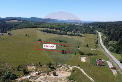 Teren 5,561mp Paltinoasa / Strada principala - 1