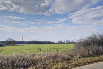 Teren Construcții intravilan de 13780 mp, în Snagov