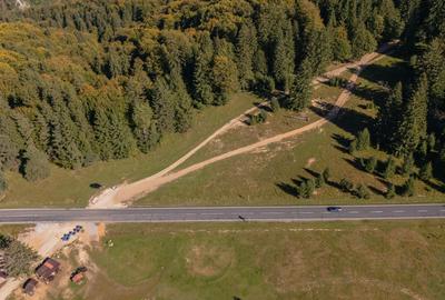 Teren premium pentru dezvoltare de lux – Drumul Poienii, Brasov - 7