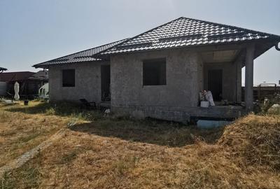 Casa la rosu în Plaiul Vulcănești - 9